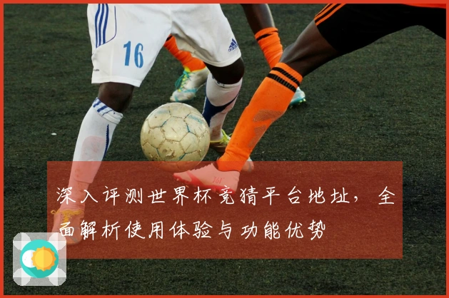 深入评测世界杯竞猜平台地址，全面解析使用体验与功能优势