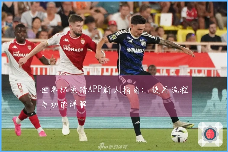 世界杯竞猜APP新人指南:使用流程与功能详解