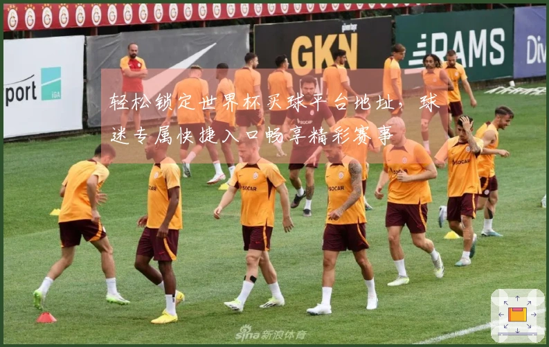 轻松锁定世界杯买球平台地址，球迷专属快捷入口畅享精彩赛事