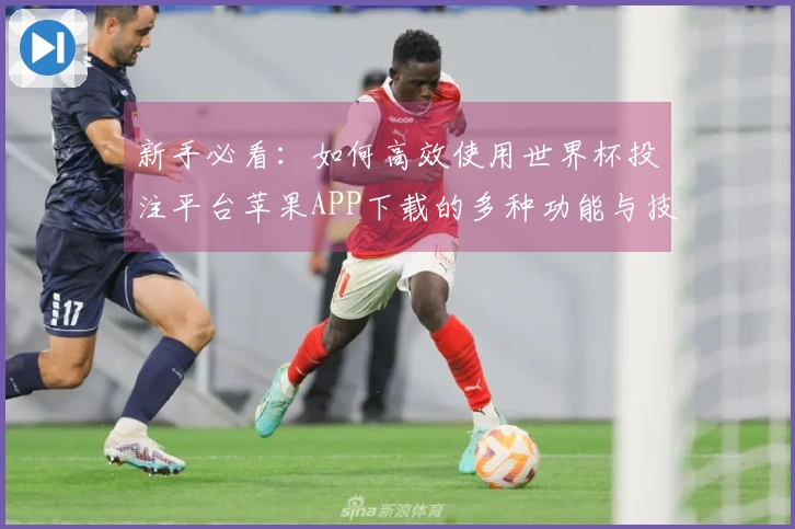 新手必看：如何高效使用世界杯投注平台苹果APP下载的多种功能与技巧