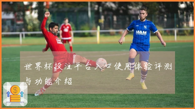 世界杯投注平台入口使用体验评测与功能介绍