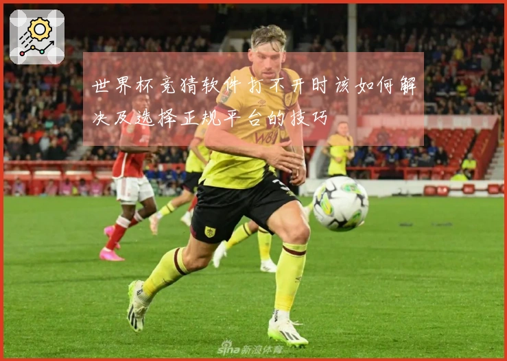 世界杯竞猜软件打不开时该如何解决及选择正规平台的技巧