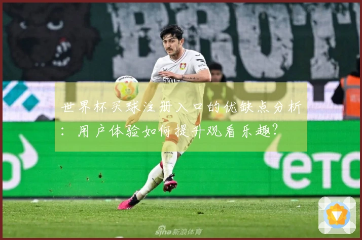 世界杯买球注册入口的优缺点分析：用户体验如何提升观看乐趣？
