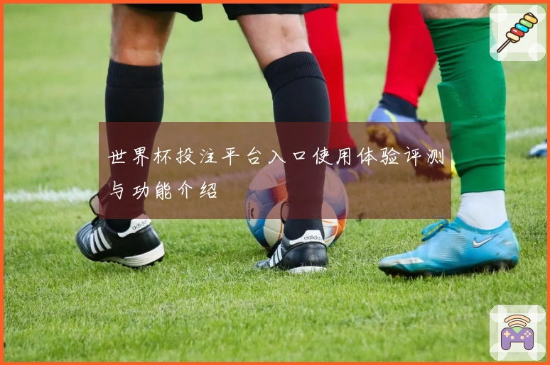 世界杯投注平台入口使用体验评测与功能介绍