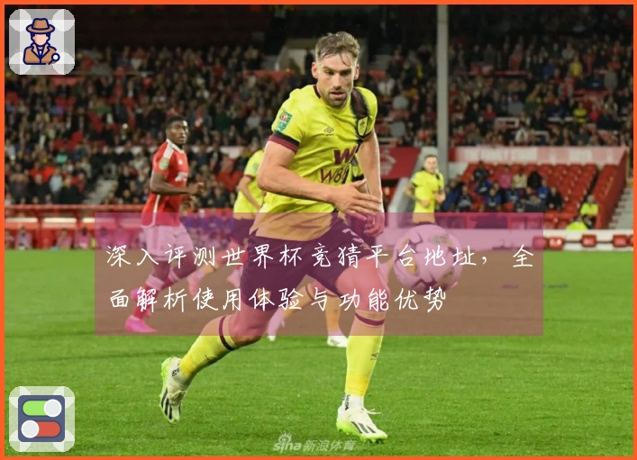 深入评测世界杯竞猜平台地址，全面解析使用体验与功能优势