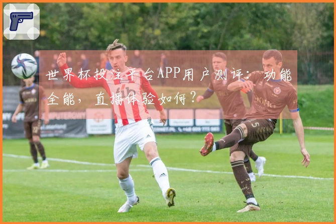 世界杯投注平台APP用户测评：功能全能，直播体验如何？