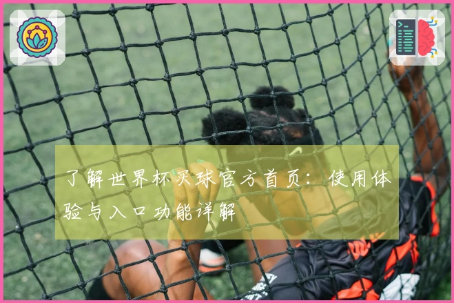 了解世界杯买球官方首页：使用体验与入口功能详解