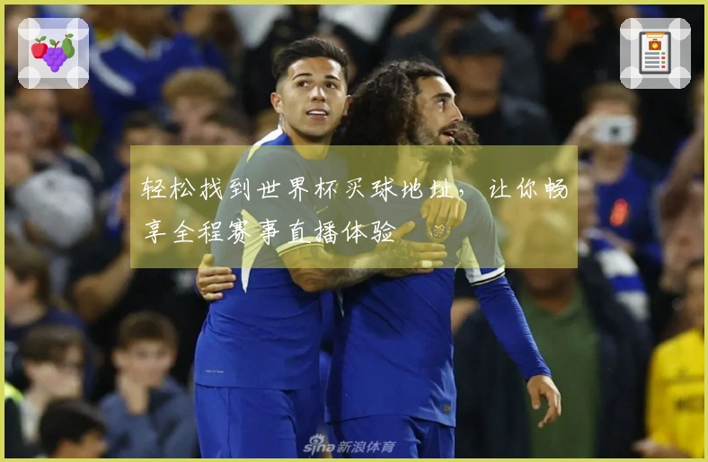 轻松找到世界杯买球地址，让你畅享全程赛事直播体验