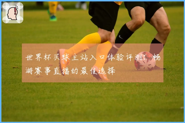 世界杯买球主站入口体验评测：畅游赛事直播的最佳选择