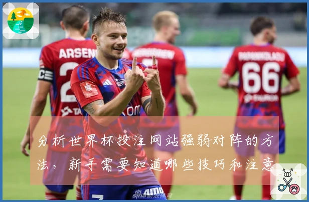分析世界杯投注网站强弱对阵的方法,新手需要知道哪些技巧和注意事项