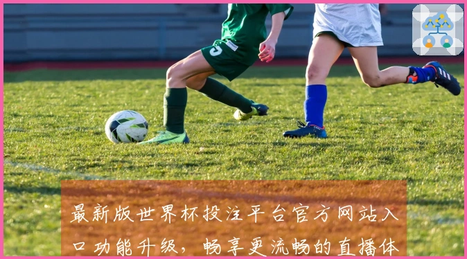 最新版世界杯投注平台官方网站入口功能升级，畅享更流畅的直播体验！