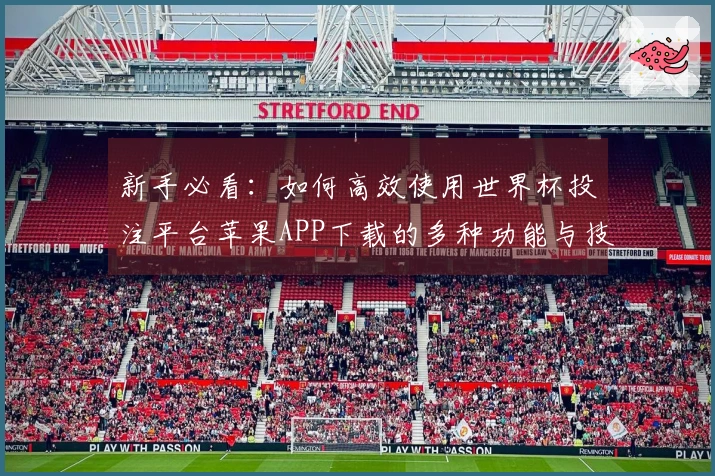 新手必看：如何高效使用世界杯投注平台苹果APP下载的多种功能与技巧
