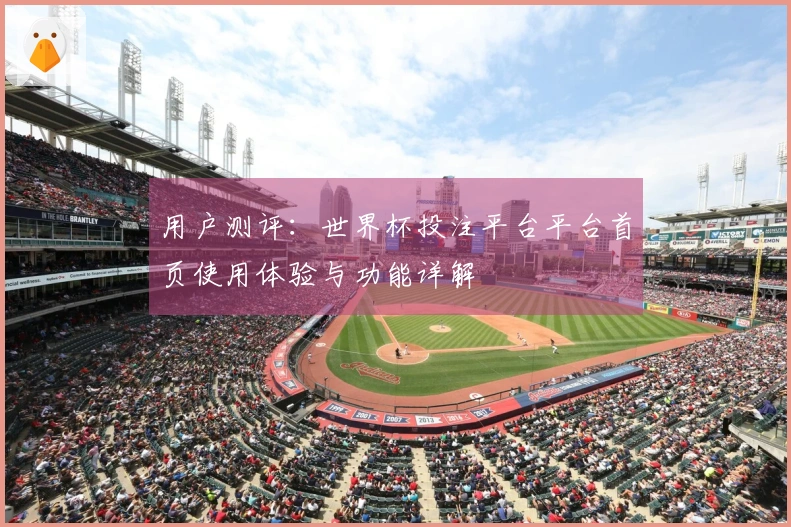 用户测评：世界杯投注平台平台首页使用体验与功能详解