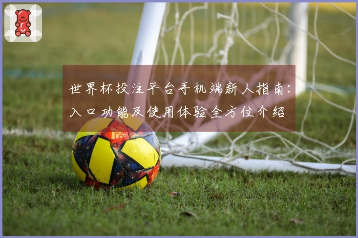 世界杯投注平台手机端新人指南：入口功能及使用体验全方位介绍