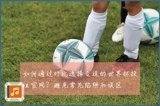 如何通过对比选择合适的世界杯投注官网？避免常见陷阱和误区
