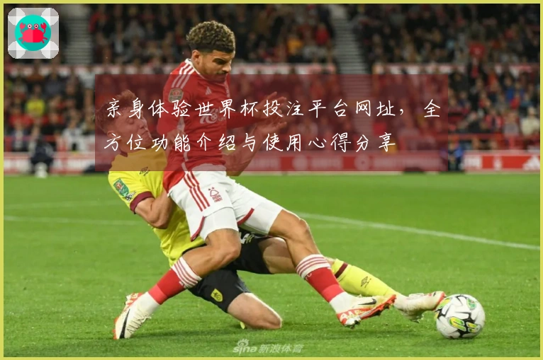 亲身体验世界杯投注平台网址，全方位功能介绍与使用心得分享