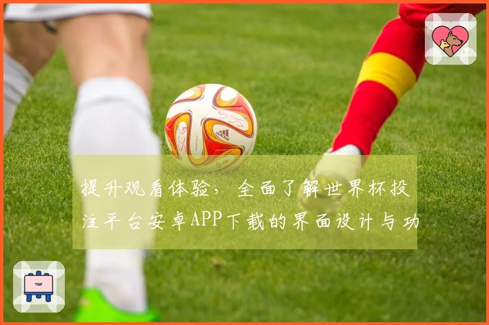 提升观看体验，全面了解世界杯投注平台安卓APP下载的界面设计与功能指南